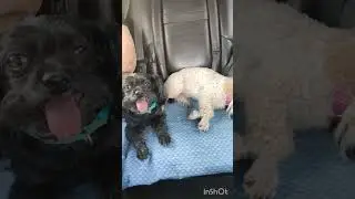 #жизнь