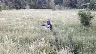 Прокатился с люлькой по полю