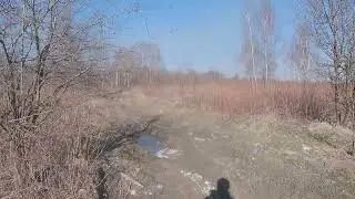 договорняк