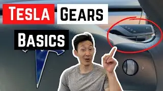 How to SHIFT Gears on a Tesla (Unlock a HIDDEN Feature!!)