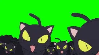 animated cats on green screen