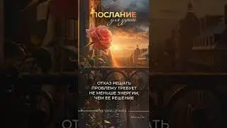 Послание для души: не отказывайся решать проблемы! 