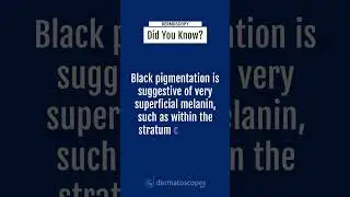 Dermoscopy - Did You Know?