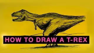 HOW TO DRAW A T REX DINOSAUR