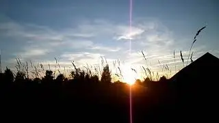 Свобода + натура. Футаж.