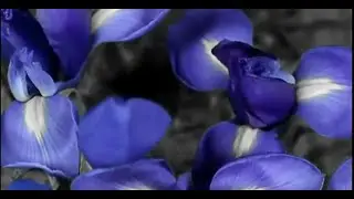 Cara membuat foto color splash