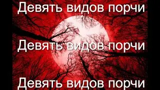9 ГЛАВНЫХ ВИДОВ ПОРЧИ,СИМПТОМЫ ПОРЧИ