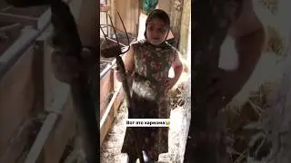КАКАЯ ХАРИЗМА😂😂                    