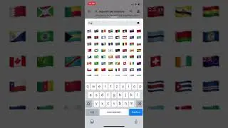 How to use discord translator bot with flag