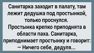 Как Санитарка Дедушке Под Простынку Залезла! Сборник Свежих Анекдотов! Юмор!