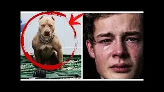 The guy left the girl alone with the pit bull. And when he returned, he couldn't hold back his tears