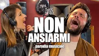 NON ANSIARMI | parodia musicale di 