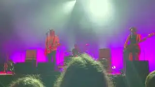 Tropical F*ck Storm - Rubber Bullies (Live)