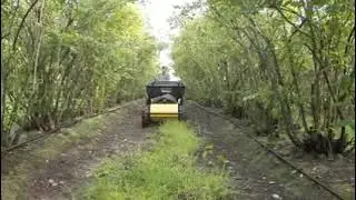 Husky UGV