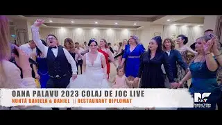 || 4K || Oana Palavu si Formatia Gabi Pirnau || Colaj de Joc Live 2023 || Nunta Daniela si Daniel