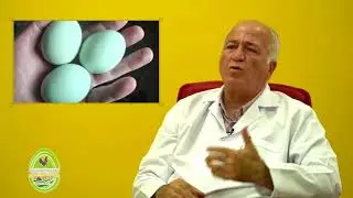 YEŞİL VE MAVİ KABUKLU YUMURTALARDA KOLLESTEROL DAHA MI DÜŞÜKTÜR ?