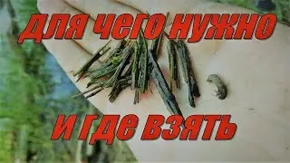 Ручейник супер насадка для рыбы. Как собрать, и где искать.