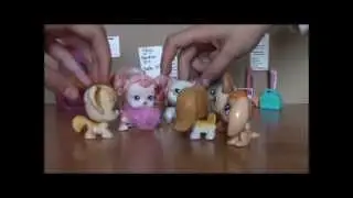 Super Timide (New Version)