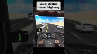 You won't believe what we saw on this Saudi Arabian highway! 