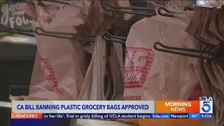 Bill to fully ban plastic grocery bags in California heads to Gov. Newsom