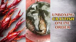 Ito ang pwde manyari sa pag order online ng Crayfish. #CRAYFISH #onlineselling #package