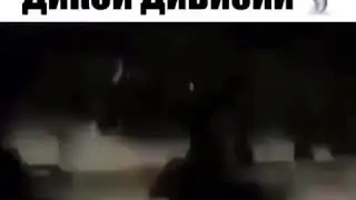 Бойцы ДИКОЙ ДИВИЗИИ