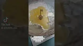 обратиться индивидуально вотс ап +79882420519