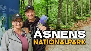 Åsnens Nationalpark | Snygga Träd & Unik Natur