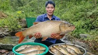 Harvesting Fresh Milkfish for Farm Preservation | Marinating Fish Solo Survival Life