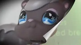 LPS MV:Wonderful