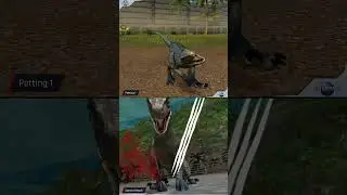 BETA VELOCIRAPTOR ALL ANIMATION | Jurassic World The Game