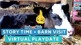 Indy with Kids Virtual PLAYdate | Meet Pete Story Time + Barn Visit with Baby Calves