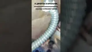 Мастер ремонтов стиральных машин. Заглянул в аналы мироздания и почистил их. #ремонт#прикол.