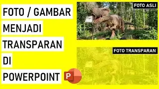 How to Make an Image Transparent in PowerPoint | PowerPoint Tutorial