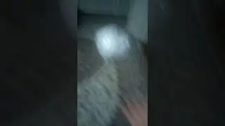 Сделал мяч из бумаги