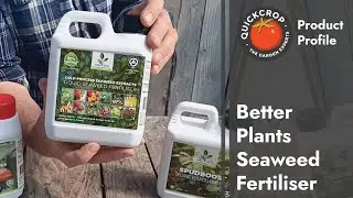 Liquid Seaweed Fertiliser