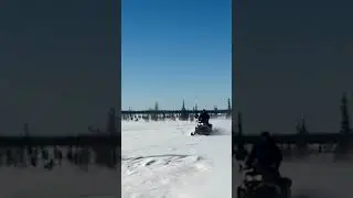 Новогодние каникулы - не повод сидеть дома