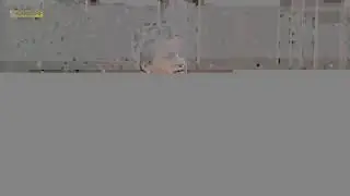 PTV News Live Stream