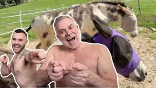 The donkeys ruined the surprise! | VLOG