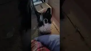 что хочешь?  вина или бухать?