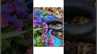 Прогулянка