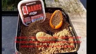barnacre fishing review august 2017