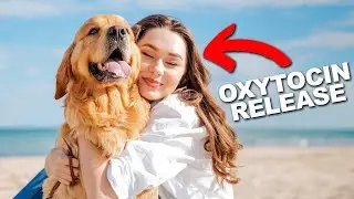 How a Dog Can Change Your Life