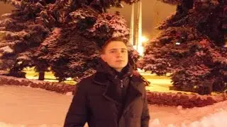 Как летают птицы