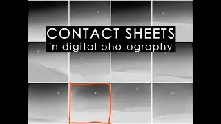 Contact sheets in digital photography