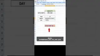 Calculated age in Excel | Excel tips and tricks |  #excelshorts  #excel