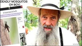This is getting crazy!! Have you seen the DEADLY MOSQUITOS?