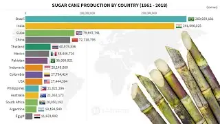 Top 15 Countries by Sugarcane Production (1961 – 2018)