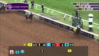 American Pharoah Wins 2015 Breeders' Cup Classic