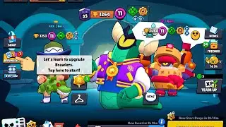 Rank 35 Stu in Brawl Ball⚽️ (1264🏆)